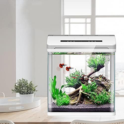 Zyzmh mini aquário inteligente aquário betta peixe aquário criativo criativo lento tanque de peixes de mesa em casa vidro auto-circulante