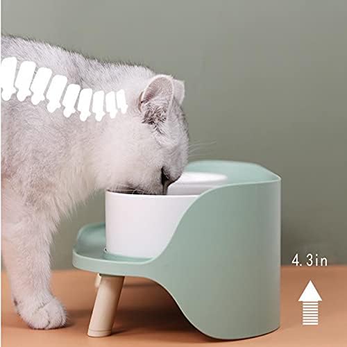 Langca Ceramic Dupla-camada dupla tigela, fácil de limpar, proteger a coluna cervical, adequada para cães e gatos pequenos, verde