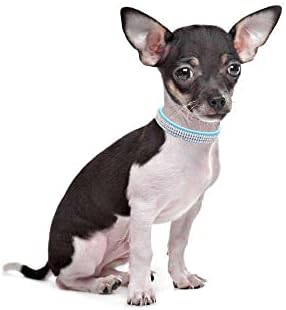 Pimaodog fofo deslumbrante e elegante elegante de couro PU Bling Shornestone Crystal Jeweled Cat Dog Puppy Collar