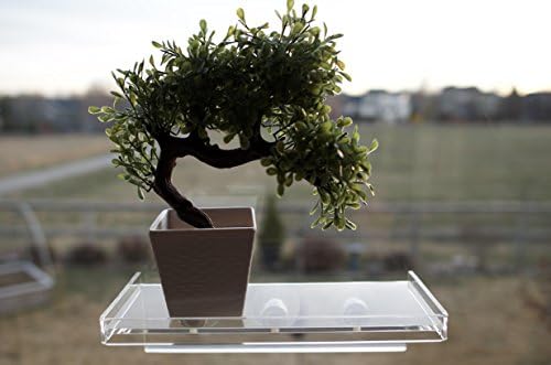 Labrinx projeta prateleira de copo de sucção média - plantas vivas, janelas e banheiros