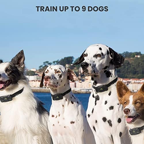 Substituição de colarinho de treinamento único para cuidados com cães, 1 receptor sem remoto, bipe, vibração, [0-99] colar de