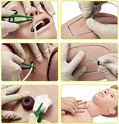 ZQHJ Atenção do paciente Manikin com genitais intercambiáveis ​​e módulos Bedsore Treinando simulador de RCP para treinamento