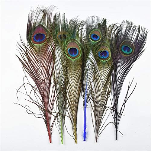 Zamihalla Peacock Feathers 25-30cm 10-12 polegadas lindas penas naturais de pavão para artesanato jóias de jóias plumas de decoração