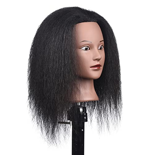 Human Hair Mannequin Head Professional Cabelo Real Cabelo Afro Mannequim Cabeça de Cabeça Treinamento de Treinamento de Cabeça Dolls de Cabeça Para Prática Hairstyle Manikin Treinamento Cabeça Cabeça 14 polegada ……