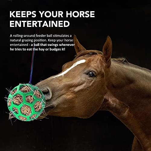 Harrison Howard Horse Treat Ball alimentador verde