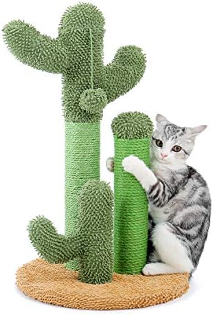 Pawz Road 23 polegadas Cactus gato arranhando pacote de posta