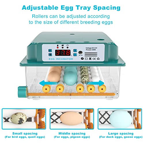 16 Incubadores de ovos para chocar ovos, ovos de virar automáticos, garrantee de dupla potência, galinhas incubador de ovo