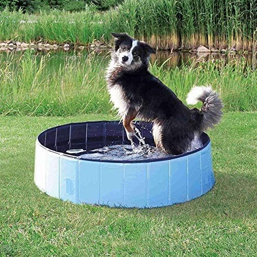 Banho de estimação de animais de estimação dobrável de animais de estimação Cães de cachorro Cães Bathing banheira de banheira vermelha grande