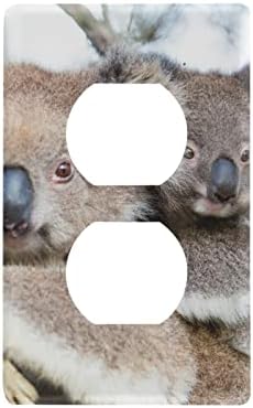 Yyzzh Austrália Baby Koala Bear e Mom TOGLE CURCH TAPE PLACH PLACH 2,9 x 4,6 Luz de placa de parede Tampa de placa de parede
