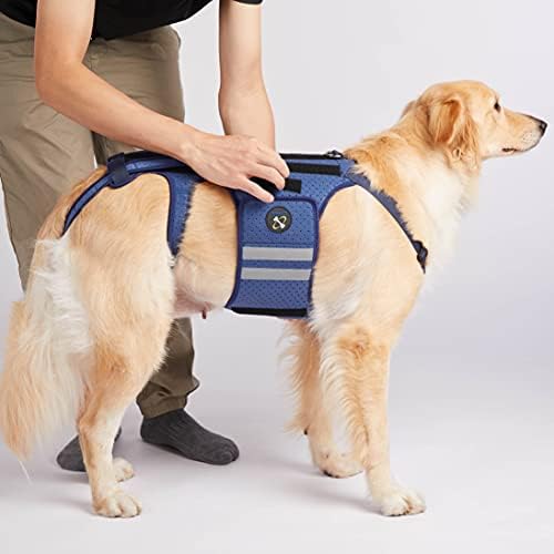 Brace de costas para cães Coodeo para artrite de cães, bracer de Pet Back para IVDD, protetor de costas ajuda a alívio