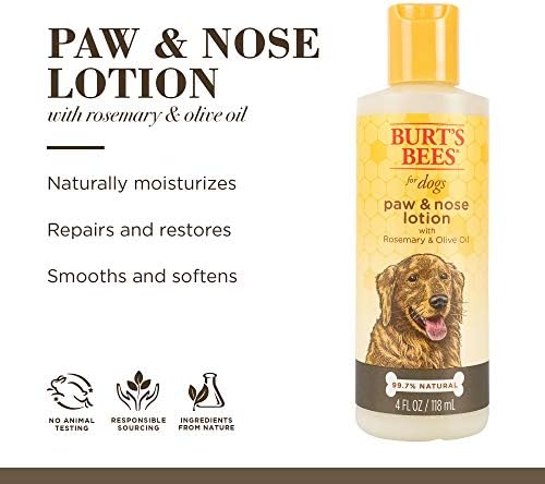 Burt's Bees for Dogs Paw e Loção de Pata Naturais com Rosemary e Azeite | Loção suave para todos os cães | Crueldade grátis, sulfato e paraben