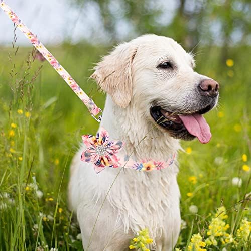Colarinho de cachorro e coleira se ajuste com a gravata borboleta, incluindo colarinhos de fivela ajustáveis, arco e flor de flor, trela e etiqueta de cachorro, para cães pequenos médios grandes