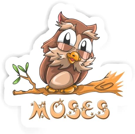Adesivo de Moses Owl