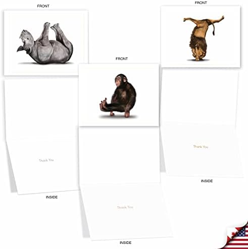A melhor empresa de cartões - 10 notas de agradecimento em caixa com envelopes, artigos de papelaria variados para agradecer por homens e mulheres - Zoo Yoga M6547Tyg