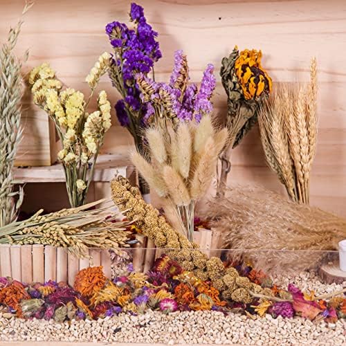 Dzwlkj Flor Natural & Herb Hamster Bedding Mate, decoração de habitat para hamsters, porquinho -da -índia, gerbils ratos lemming degus ou outro animal pequeno.