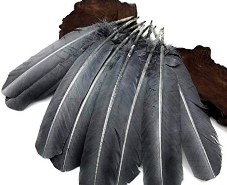 1 lb. Tom de peru cinza prata Rounds Rounds Wing Secundário Quill Wholesale Feathers Halloween Supply | Pena da luz da lua