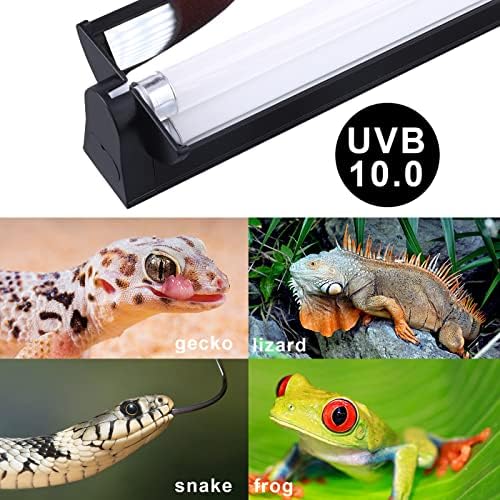 Aiicioo T5 UVB Reptile Light - Desert 10.0 UVA UVB Lighttle e alta saída UVB UVB T5 Bulbo para répteis Chameleon Gecko Chameleon