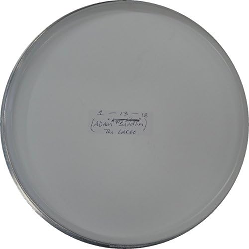 Adam Sandler assinado com a mão assinada tambor de bateria de tambor de cabeça de tambor de tambor de música JSA 07900