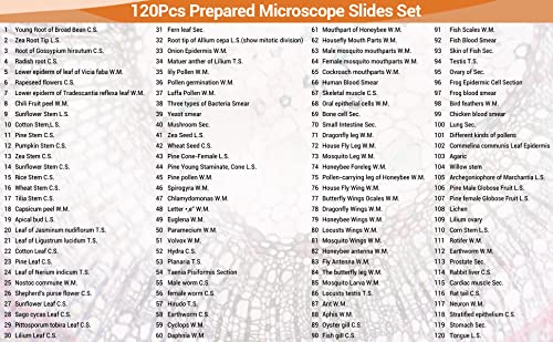 120 Slides de microscópio preparados para crianças e estudantes, lâminas de vidro de microscópio, incluindo espécimes