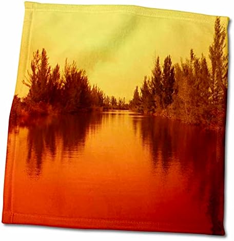 3drose florene cenário abstrato - árvores de fogo dourado - toalhas