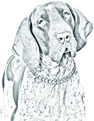 BRACCO Italiano, lápide oval de azulejo de cerâmica com uma imagem de um cachorro