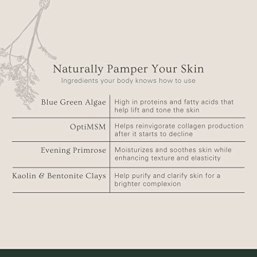 Simpure Clean Skincare Revive Marine Algae + MSH Máscara Facial para todos os tipos de pele, 2,75 oz