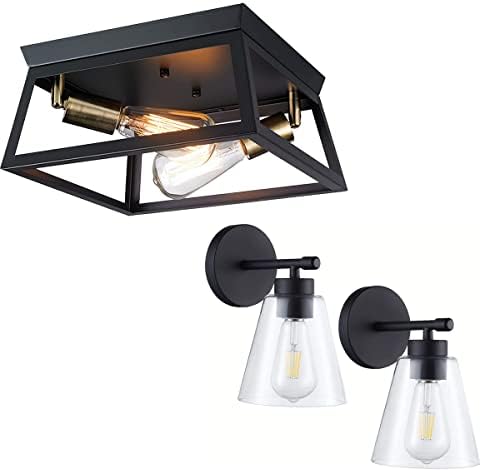 Hamilyeah Flutue Mount Teto Light Accet 2 Luz, luminária preta Montagem de teto, Industrial próximo ao teto Luz ao ar livre para varanda,