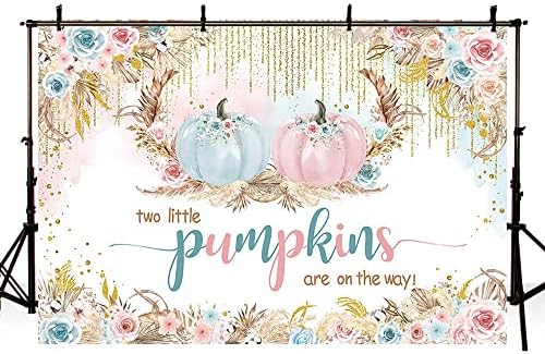 Aibiin 7x5ft outono abóbora gêmeos chá de bebê outono duas pequenas abóboras menino menina estão a caminho das decorações