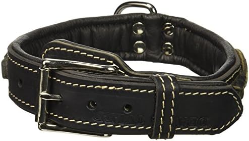 Dean e Tyler Dean's Legend Dog Collar com preenchimento preto e hardware de aço banhado a cromo, 20 por 1-1/2 polegadas, preto