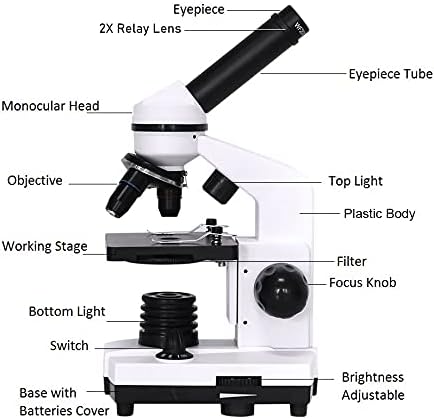Composto Profissional de Microscópio Biológico Profissional Microscópio Microscópio Microscópio de Exploração Biológica Adaptador de Smartphone 40x-1600x