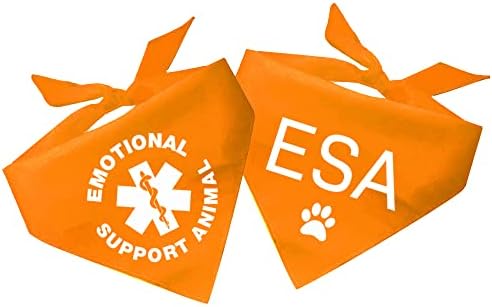 ESA e apoio emocional de cães de animais bandana
