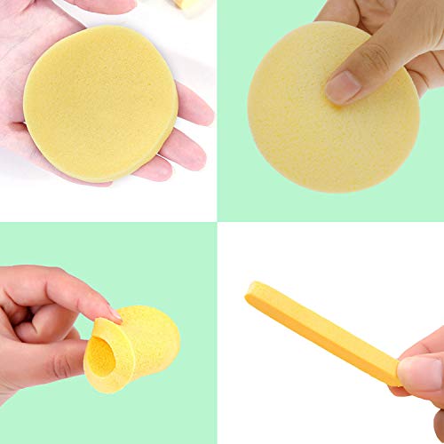 Esponjas faciais | 60 contagem | Aparecer PVA Sponge compactada para lavagem de rosto, esfoliação, máscara, remoção de maquiagem