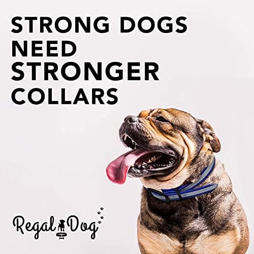 Produtos de cachorro real colar de cachorro reflexivo médio laranja com fivela de metal de hardware preto e anel D |