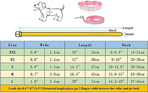 Cães reino cães fofos deslumbrantes colarinho de cachorro colarinho de colar