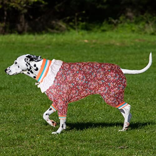LOVINPET DOG Surgical Recovery Suit, UV e Proteção Operativa Pós -Operativa, Rosais de Dog de 4 Pernas, Flora de Flora