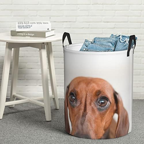 Sad Dog Imprimindo cesta de lavanderia grande com alça cesto de lavanderia à prova de água dobrável para quarto,