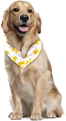 Bandanas quadradas para cachorro lenço de estimação dobrável de animais de estimação Close Up Daisy Flowers Amarelo