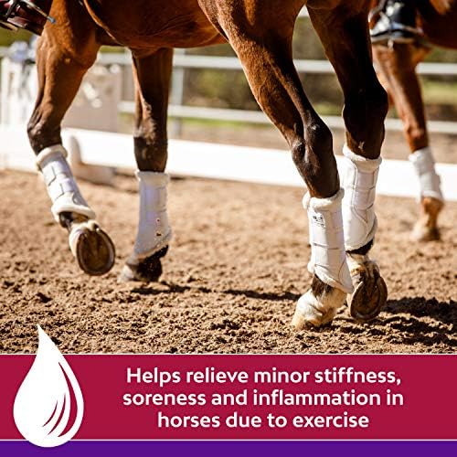 Gel de linimento de cavalo de vetrolina Farnam com ácido hialurônico para dor muscular e alívio da rigidez em cavalos, ajuda a reduzir o inchaço, ajuda no alívio da dor, 12 onças.