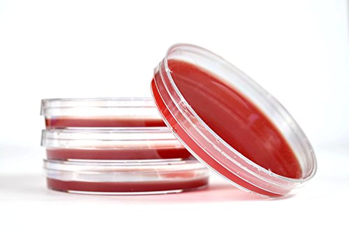 Agar de sangue vermelho, TSA com 5% de sangue de ovelha. Placas de 15x100 mm pré-derramadas. Usado para detectar hemólise.