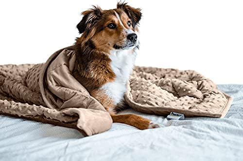 Filhote de fralda - cobertor de cachorro ponderado | Especialmente projetado para cães ansiosos | Extra confortável | Tecido premium minky | Minchas de vidro hipoalergênicas | Brown | Médio 4 lb.