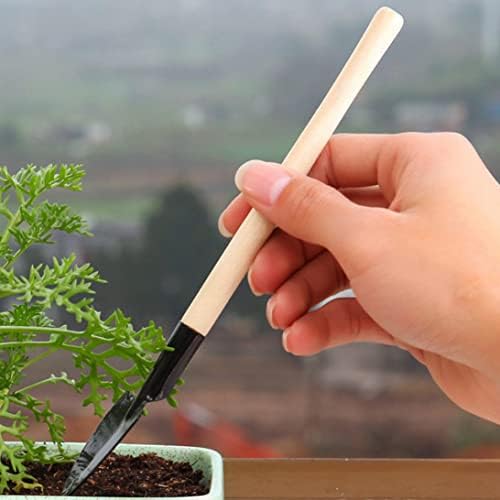 Mini Ferramentas de Jardim Definir ferramentas suculentas Ferramentas de jardinagem Ferramentas de jardinagem Ferramentas de transplante