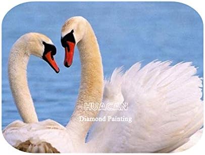 DIY Pintura de diamante cisne decoração de decoração de mosaico de animais decoração de fazenda de animais de origem