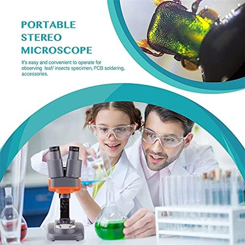 Microscópio estéreo binocular Zhyh 40x para PCB Solda Mineral Aparecendo Kids Science Education Repair Ferramenta de reparo