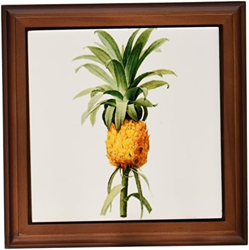 3drose ft_106859_1 Redoute vintage aquarela frutas de abacaxi bromelia ananas emolduradas, 8 por 8