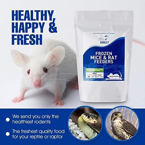 Micedirect Frozen Rat Combo Pack - 1 rato grande e 1 rato jumbo alimentos para cobras de milho, pítons de bola