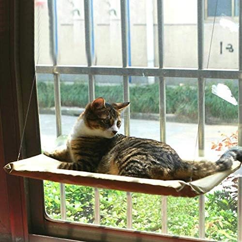 Itoda 360 ° Batido de sol Cato descansando o assento da janela da casa