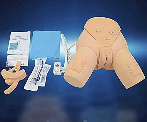 Modelo de cateterismo urinário masculino e feminino Modelo de enfermagem simulador de enfermagem Manequim intercambiável para treinamento médico de enfermagem
