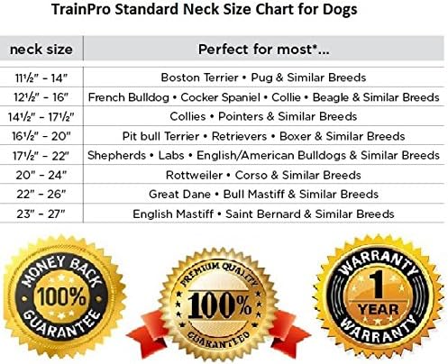 TreinPro Substituição ¾ ”Bandas de tira de colarinho de cachorro com treinamento de loop de fivela dupla para todas as marcas