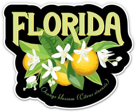 Adesivo de flor de laranja da Flórida - adesivo de laptop de 3 - vinil à prova d'água para carro, telefone, garrafa de água