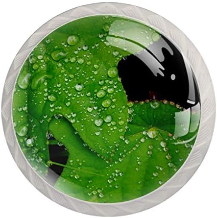 Maça de gaveta de cerveja Green Wild Green com botões brancos foscos de orvalho botões de mobília de porta de armário modernos